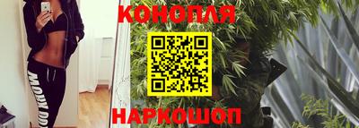 гидропоника Краснодар
