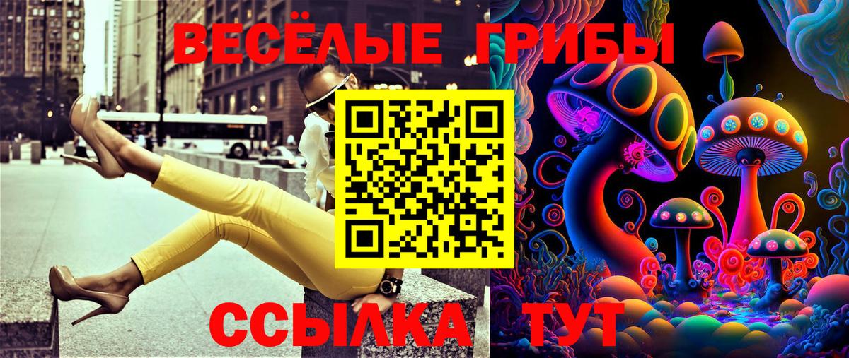 купить наркотики цена  Галлюциногенные грибы Magic Shrooms  Вход с VPN  Канаш 